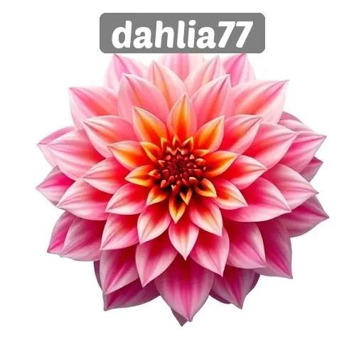 Fitur Menarik yang Ditawarkan oleh Dahlia77
